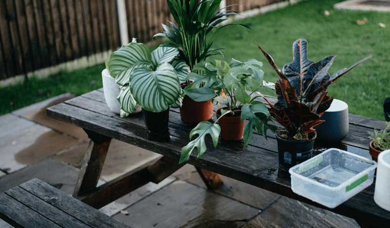 annie-spratt-yyXw1lGJypI-unsplash annie-spratt-yyXw1lGJypI-unsplash