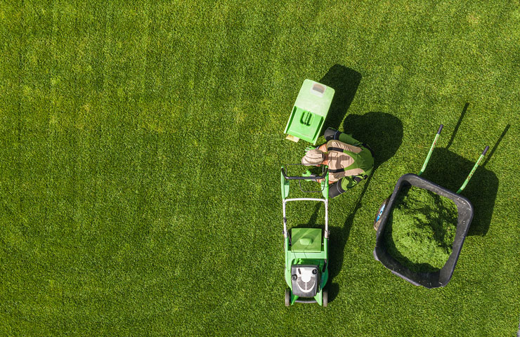 Lawn-Maintenance Lawn-Maintenance