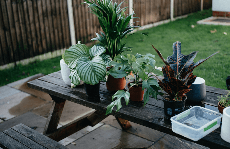 annie-spratt-yyXw1lGJypI-unsplash annie-spratt-yyXw1lGJypI-unsplash